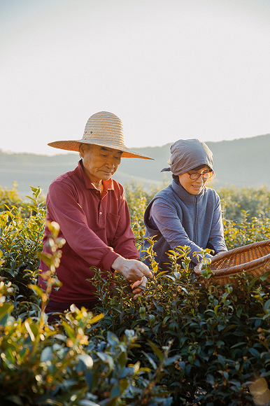 소월당 가족 농사 풍경